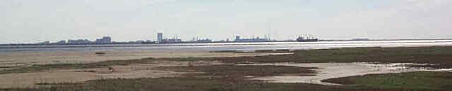 Bolivar Flats and Galveston