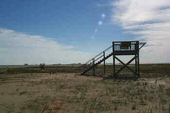 Observation Platform at Bolivar Flats