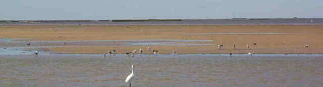 Sand Bar at Rollover Flats
