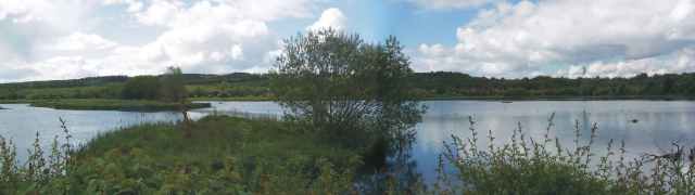 Barons Haugh
