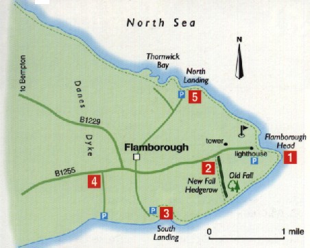 Flamborough Head Map