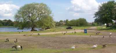 Goose City - Photo copyright Tina MacDonald