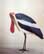 Greater Adjutant