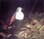 Society Islands Ground-Dove